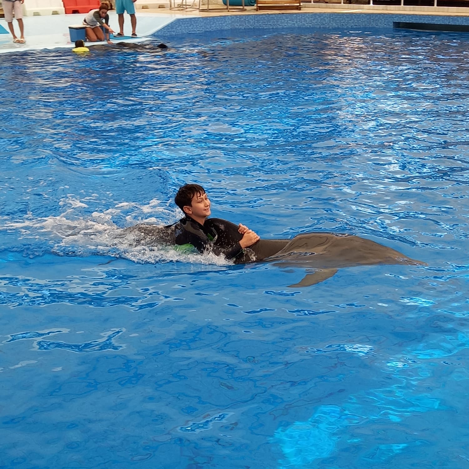 Seans Planlaması Hakkında