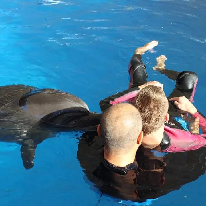 Dla naszych gości zagranicznych