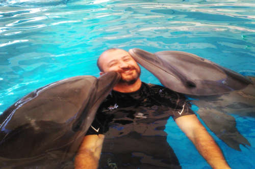 What is Dolphin-Assisted Therapy?